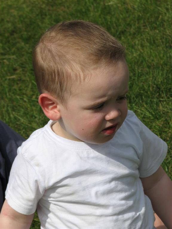 IMG_0111 (Large).JPG